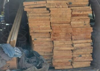 Asegura SSC unidad por exceder la posesión de material maderable