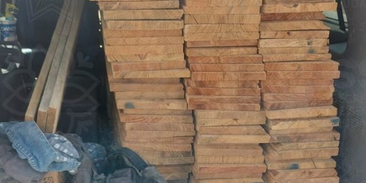 Asegura SSC unidad por exceder la posesión de material maderable