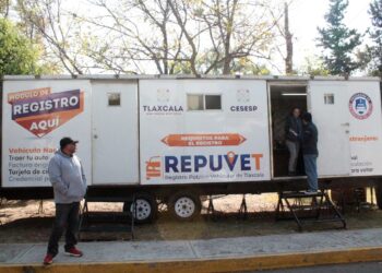  Trámite en módulos REPUVET solo es obligatorio para vehículos sin chip: CESESP