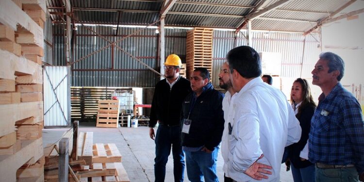 Certifica PROPAET a dos empresas más comprometidas con el cuidado del medio ambiente