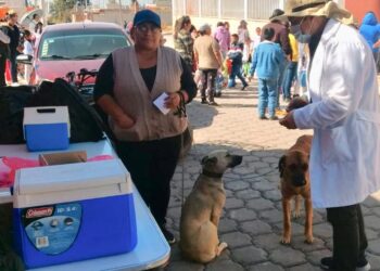 Otorga sector salud de Tlaxcala vacuna antirrábica para perros y gatos