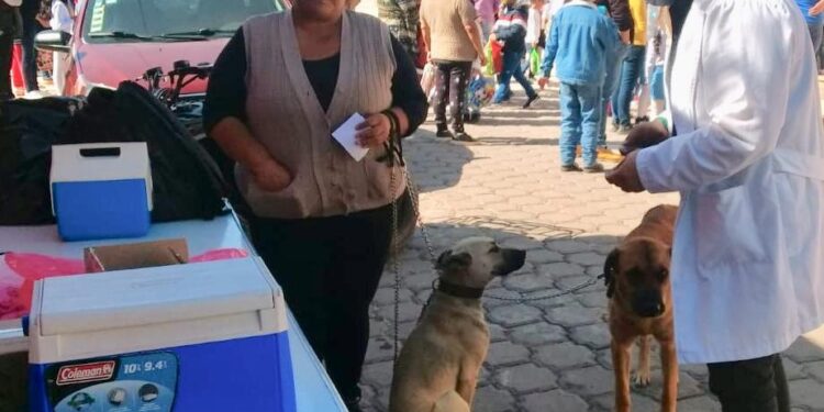 Otorga sector salud de Tlaxcala vacuna antirrábica para perros y gatos