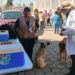 Otorga sector salud de Tlaxcala vacuna antirrábica para perros y gatos
