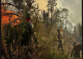 Autoridades combaten incendio forestal en Tlaxco