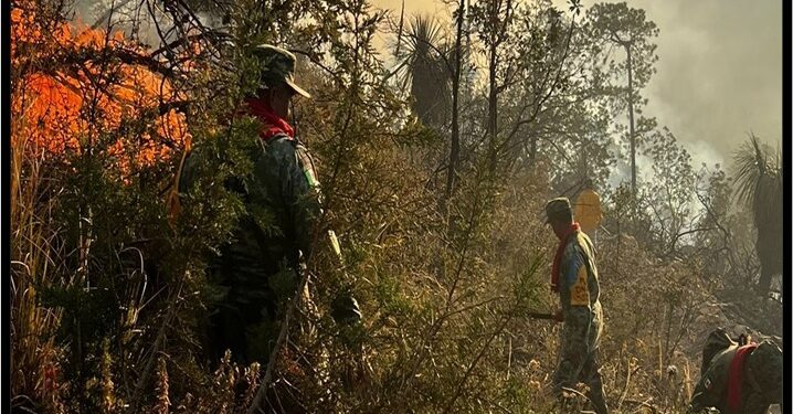 Autoridades combaten incendio forestal en Tlaxco