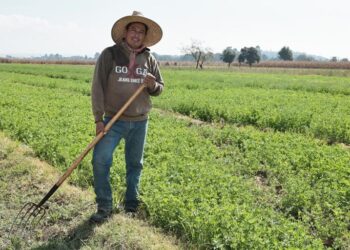 Abre SIA convocatorias para proyectos agrícolas