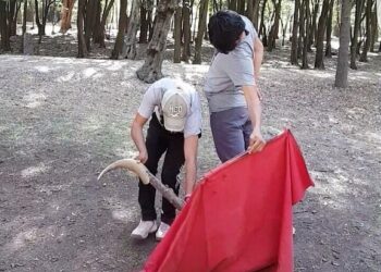 Realizará ITDT clase–práctica con “calita” en Tlaxcala