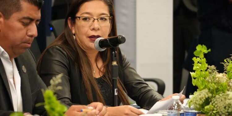 Diputada Leticia Martínez Cerón considera importante adecuar programas desde las necesidades de los productores tlaxcaltecas