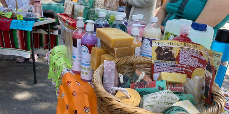 Inicia en Huamantla “Mis semillas huamantlecas”.