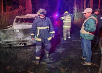 Asegura SSC unidad con material forestal