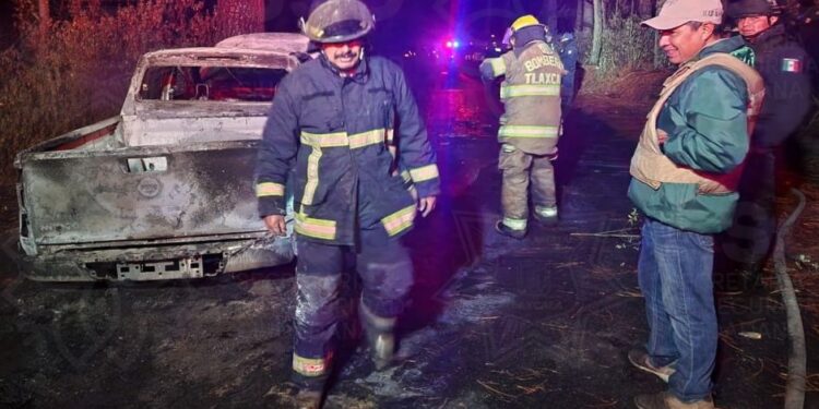 Asegura SSC unidad con material forestal