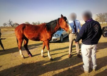 Atiende PROPAET y autoridades de Calpulalpan denuncia de maltrato animal