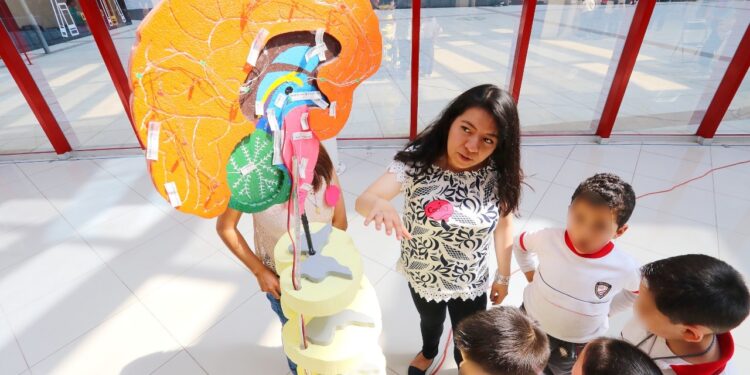 Socializa UATx saberes de las neurociencias