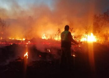Autoridades estatales y federales combaten incendio forestal en la Malinche