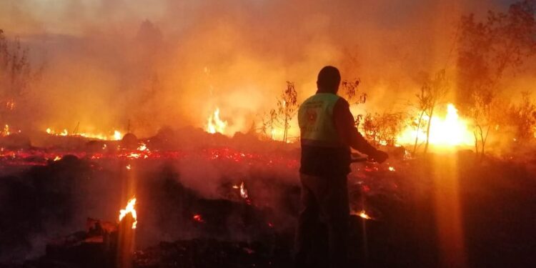 Autoridades estatales y federales combaten incendio forestal en la Malinche