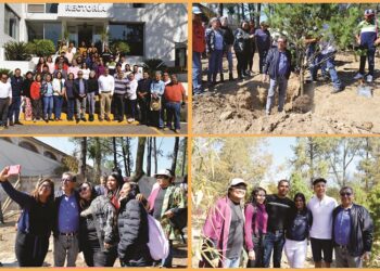 Mantiene UATx reforestación del campus Rectoría