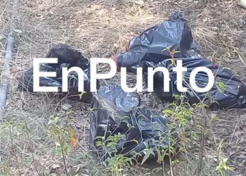 Localizan restos humanos en bolsas de plástico en Papalotla.