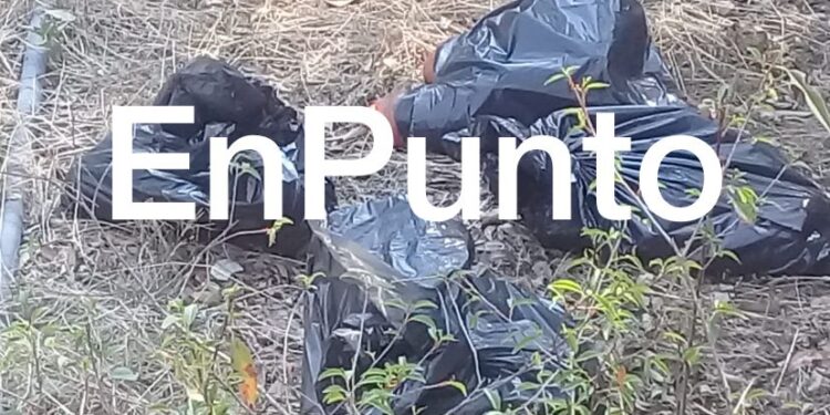 Localizan restos humanos en bolsas de plástico en Papalotla.