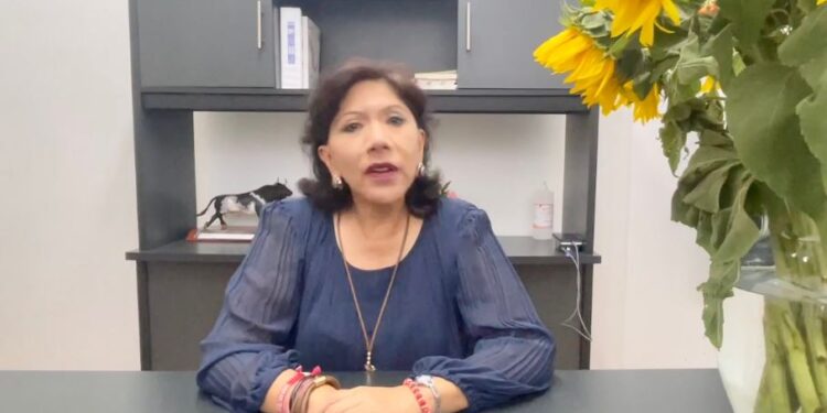 Congruente, la aprobación de minuta 3de3 contra la violencia: Anabell Ávalos