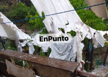 Severos daños genera granizada en Terrenate.