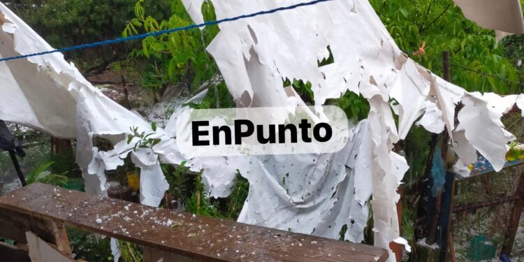 Severos daños genera granizada en Terrenate.