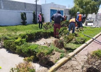 Reubicarán vegetación retirada por nueva obra en Tequexquitla.