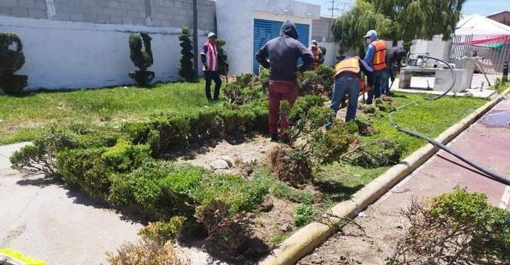 Reubicarán vegetación retirada por nueva obra en Tequexquitla.