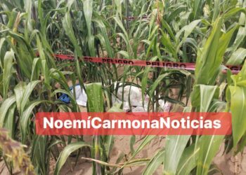 Envu€lta en una cobija, localizan a muj€r en terrenos de Cuapiaxtla