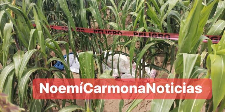 Envu€lta en una cobija, localizan a muj€r en terrenos de Cuapiaxtla