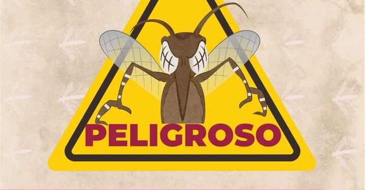 Emiten autoridades de Tequexquitla medidas de prevención de propagación de mosquito del dengue.