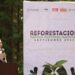 Gobierno del Estado e iniciativa privada realizan trabajos de reforestación en la Malinche.