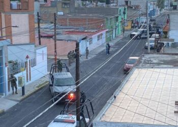 Reportan aseguramiento de plantas de marihuana en la colonia Adolfo López Mateos de Tlaxcala