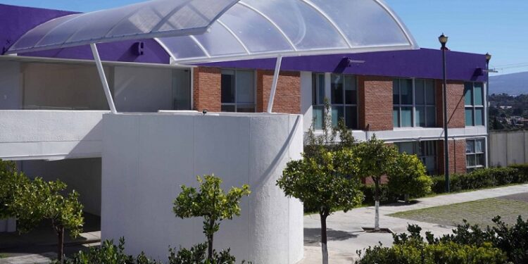 Juez vincula a proceso a masculino por violencia familiar: PGJE