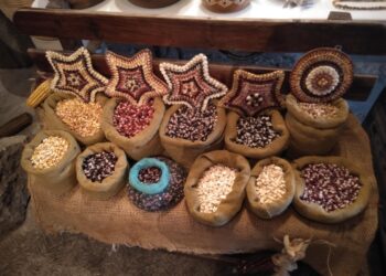 Implementará talleres Colectivo Sabores de mi Tierra del Municipio Ixtenco.