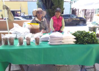 Invitan a productores a sumarse a Tianguis Mis Semillas Huamantlecas.