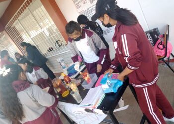 Presentan proyectos de microempresas en la técnica del pueblo de Jesús