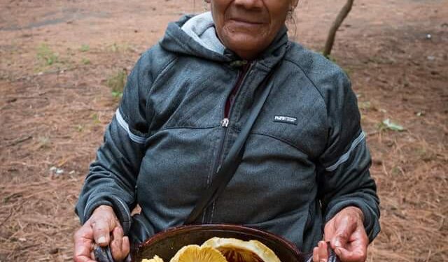 Realizará Tlaxcala su Primer Festival de Hongos Comestibles.