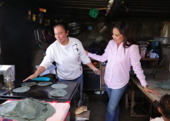 #Estufas ahorradoras de #leña mejora calidad de vida: gobernadora Lorena Cuéllar