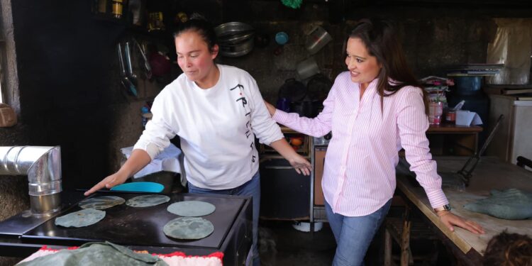 #Estufas ahorradoras de #leña mejora calidad de vida: gobernadora Lorena Cuéllar