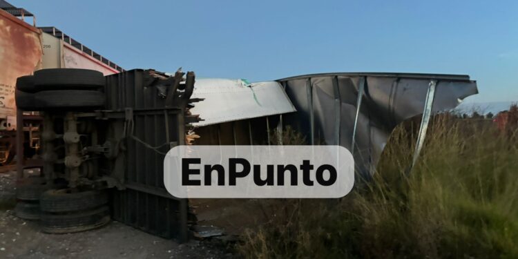 Tras intentar ganarle el paso la bestia embiste a un tráiler en Huamantla.