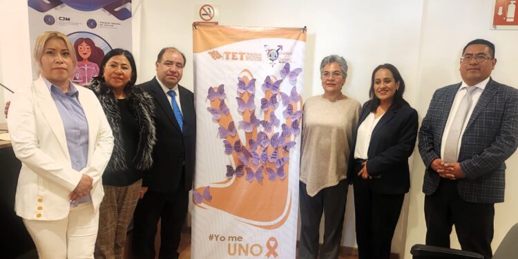 Capacita TET a su personal en temas de género, en coordinación con el CJM