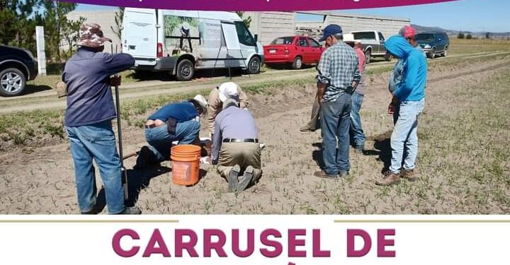 Invitan Secretaría de Impulso Agropecuario y Ayuntamiento de Cuapiaxtla a diversos Cursos.