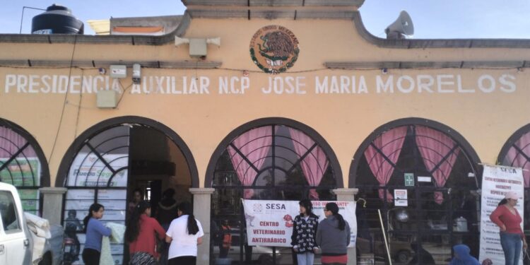 Campaña de Esterilización Canina y Felina y Desazolve de Agua Negras en Nuevo Centro de Población Morelos