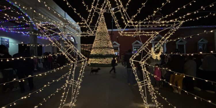 Inicia la aldea del amaranto en Cuapiaxtla. 