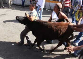 No habrá permiso de “Vaquilladas” ante feria patronal en Benito Juárez asegura Carlos Alfredo Jiménez 