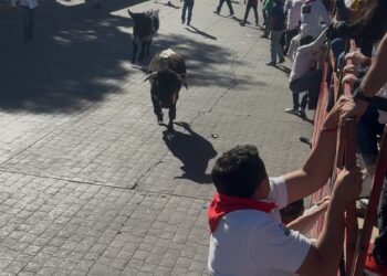 Saldo blanco durante encierro de toros en Huamantla. 
