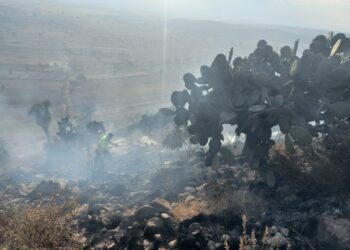 Atiende Protección Civil de El Carmen Tequexquitla incendio en cerro del municipio.