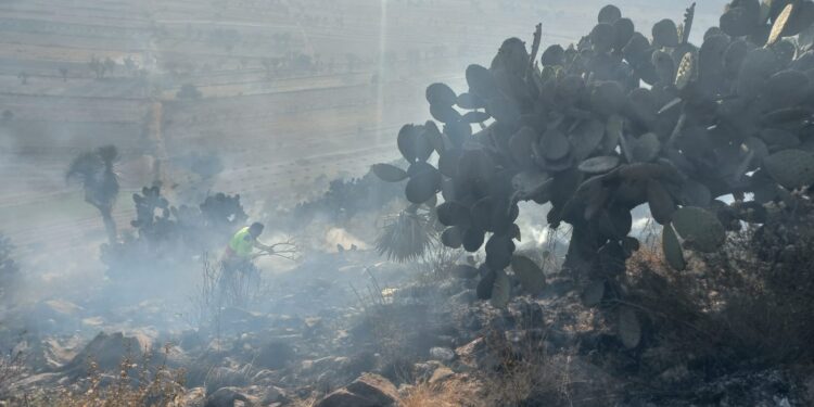 Atiende Protección Civil de El Carmen Tequexquitla incendio en cerro del municipio.