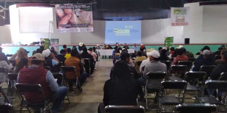 Realizan en Huamantla Curso Taller Presencial: Gusano Barrenador del Ganado.