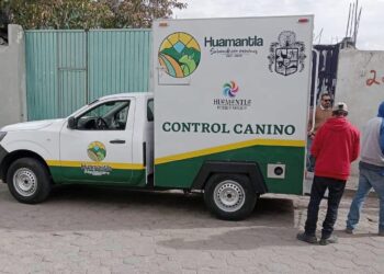 Rescata Unidad Canina y Felina a perrito que sufría maltrato en Huamantla.